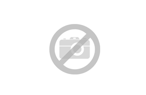 Dainolite OFE-201P-MW-GLD - 1LT Incandescent Pendant, MW w/ GLD Trim
