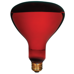 250R40/IR/R/5M/120 130V/STD SM