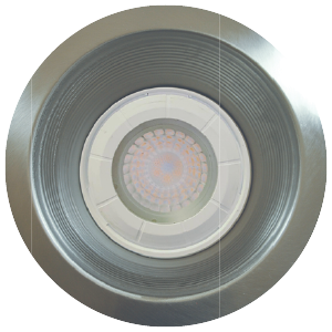 RF6/TRIM/CONE/BR.NKL/PAR38/STD