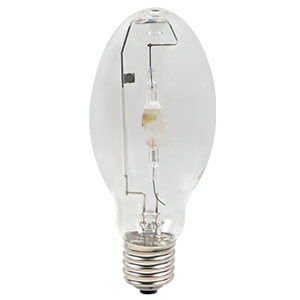 MS175W/BU/PS/740 STD