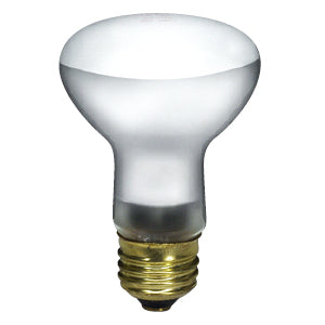 45R20/FL/2M/120V/STD BLX