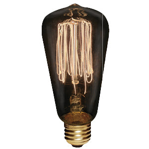 40W VICTORIAN S60 SQUIRREL CAGE 120V/STD