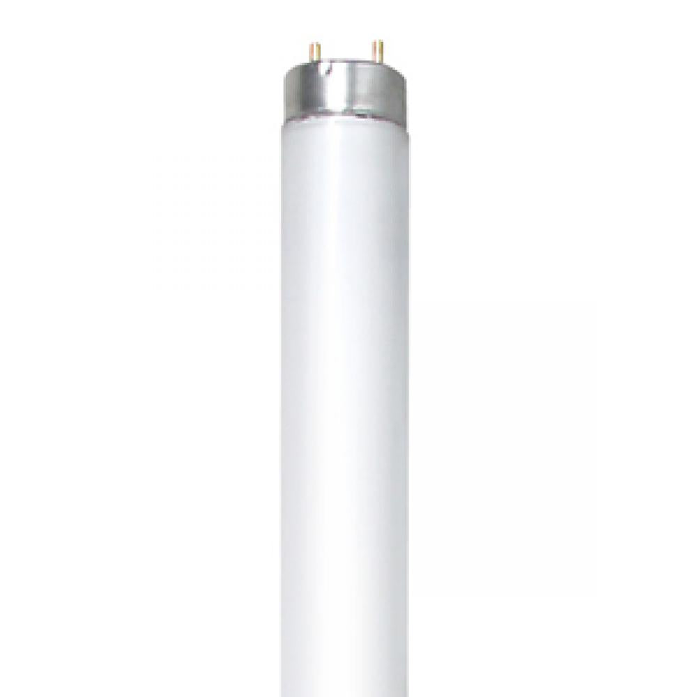 F32T8/41K/8/RS/G13/STD ESV BULK