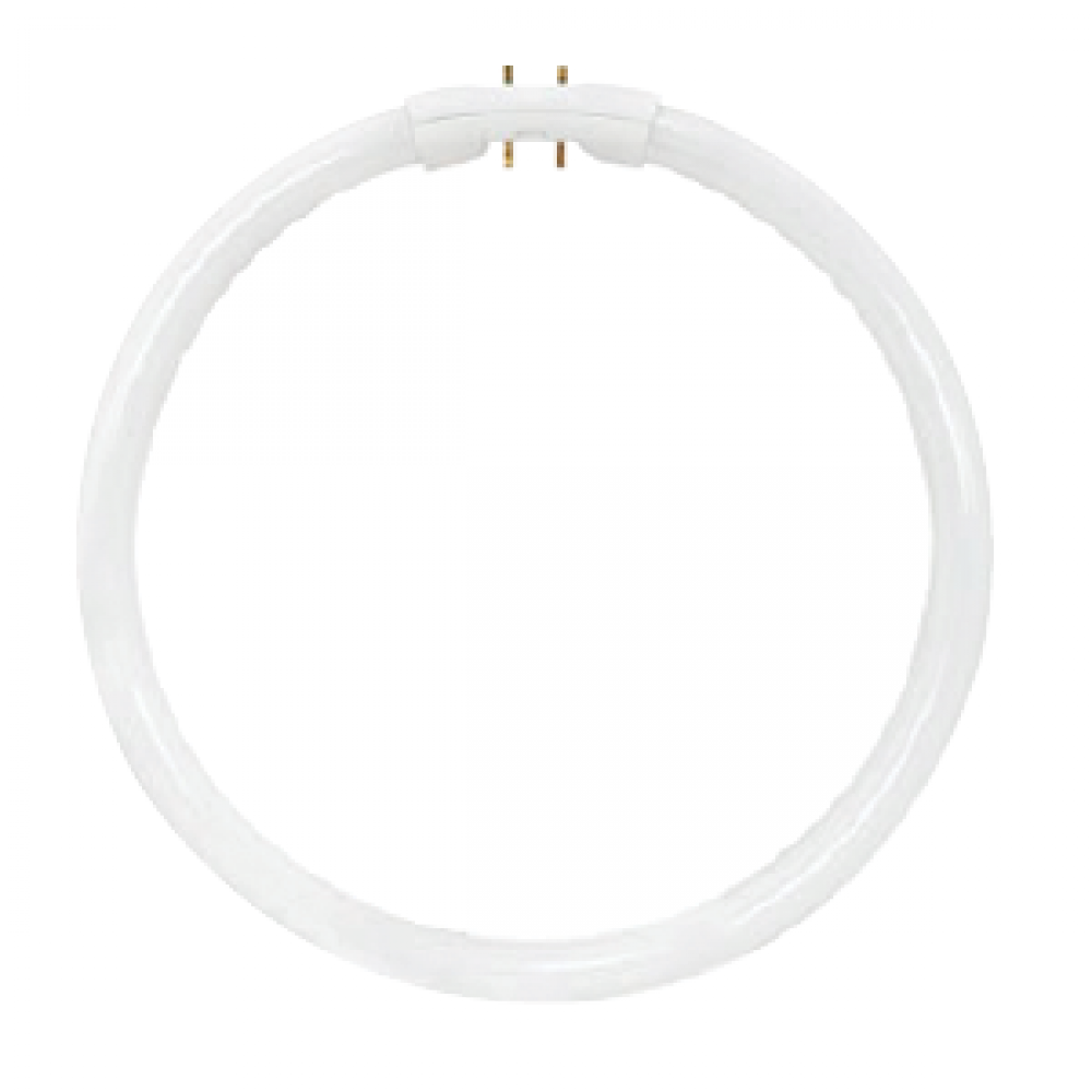 FC12T5/830