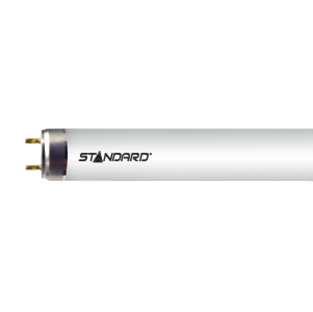 F14T8/CW/PH/G13/STD
