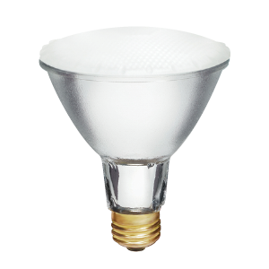 H50PAR30/LN/FL/2.5M/120V/STD ICE