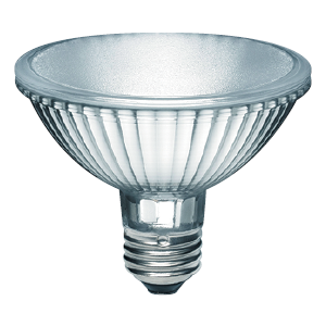 H75PAR30/NFL/2.5M/120V/STD ACC