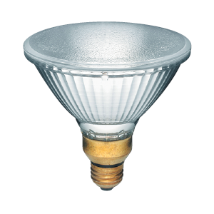 H45PAR38/FL/5M/130V/STD ACC