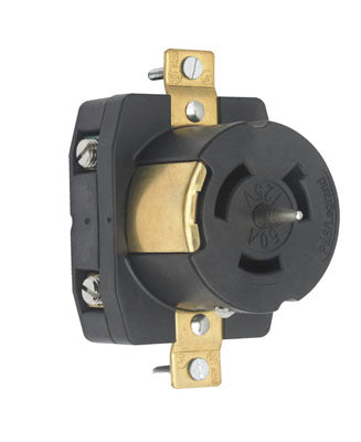 LKG RCPT, 50A 125V, 2P3W