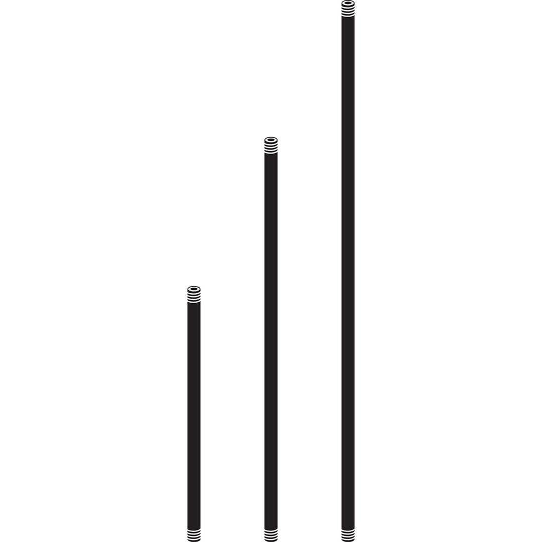 Accessory Stem 1/4NPSM 12 in