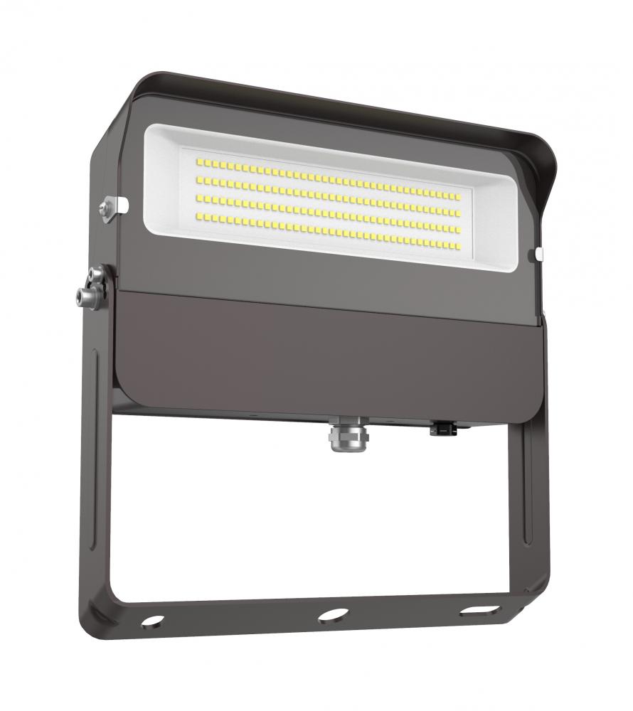 FLOOD LIGHT 100W 5000K 120-277V DIM 0-10
