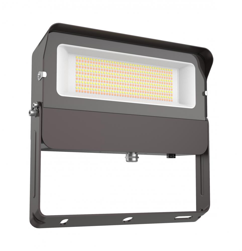 FLOOD LIGHT 150/100/80W 50/40/3000K 120-