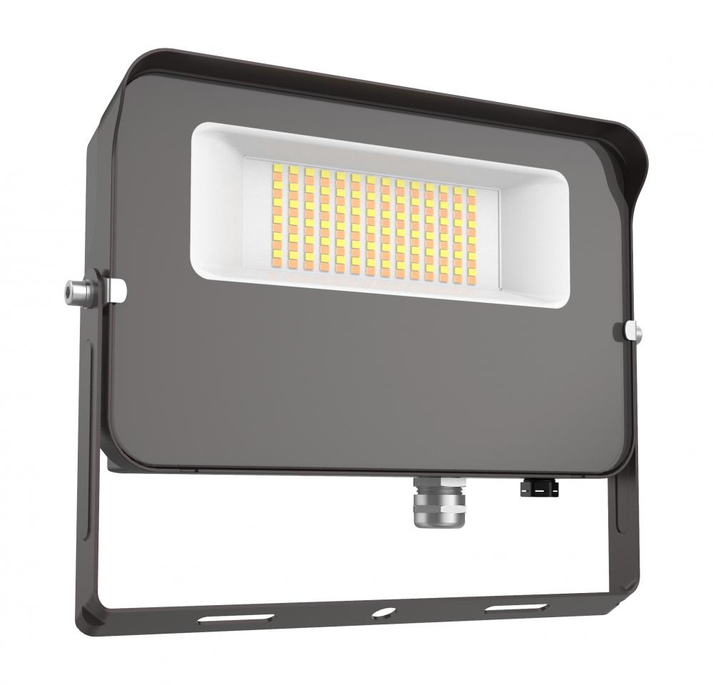 FLOOD LIGHT 50W 50/40/3000K 120-277V 0-1