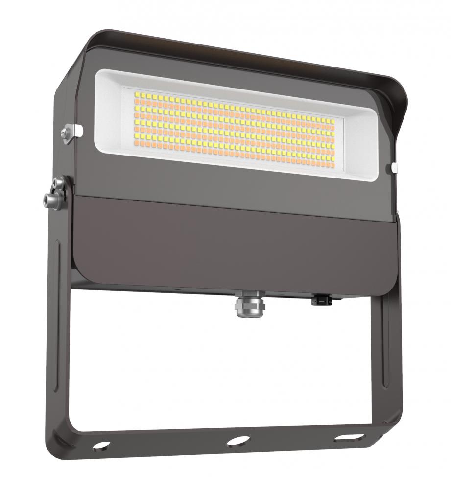 FLOOD LIGHT 100W 50/40/3000K 120-277V 0-
