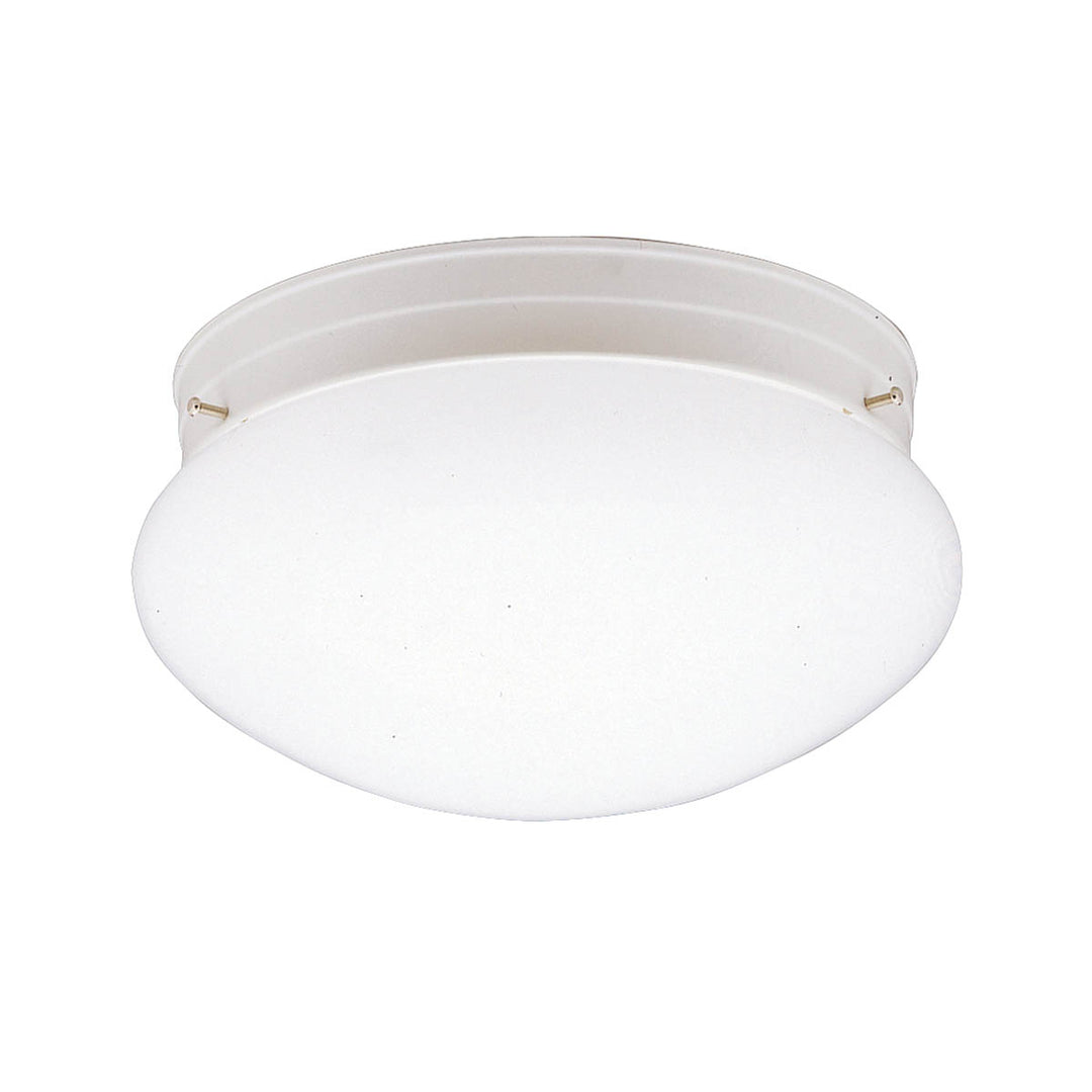 Flush Mount 1Lt