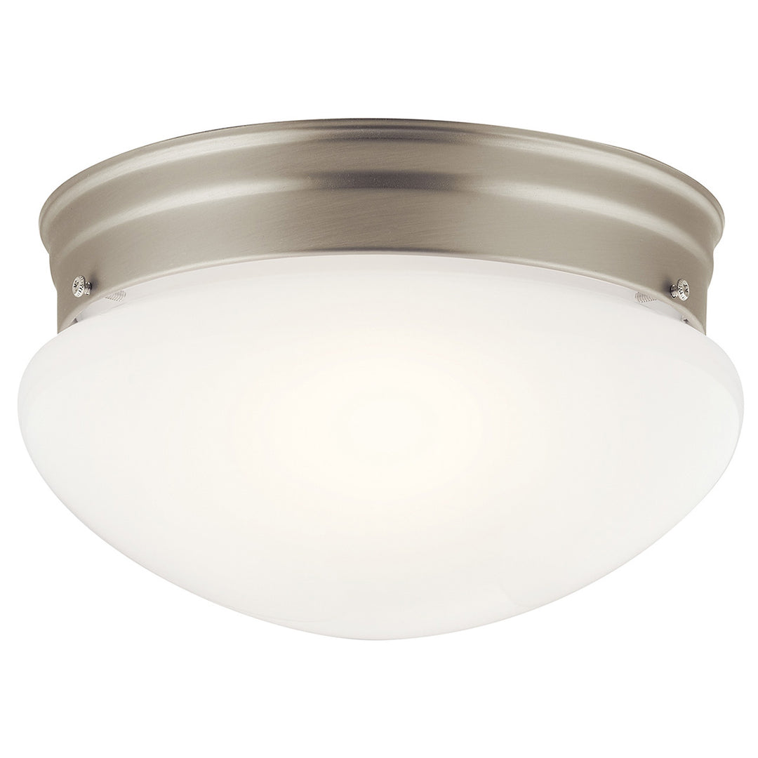 Flush Mount 2Lt