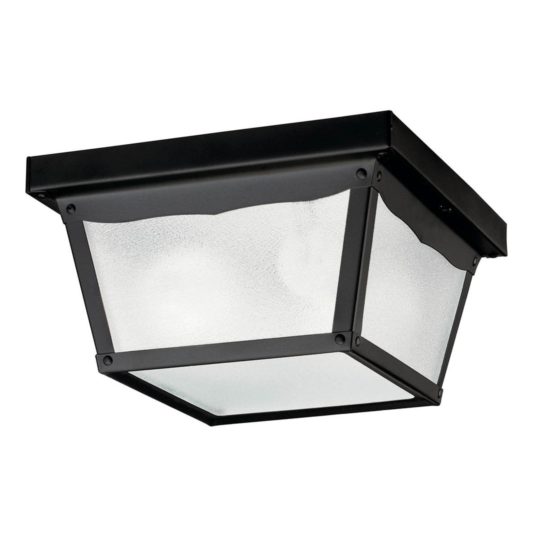 Outdoor Ceiling 2Lt