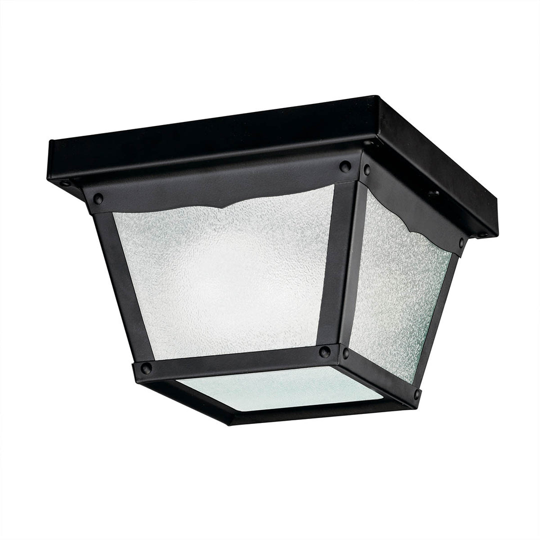 Outdoor Ceiling 1Lt (12 pack)