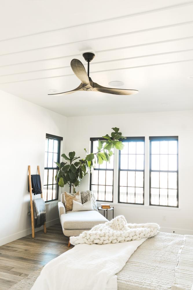 Maverick 52" Ceiling Fan