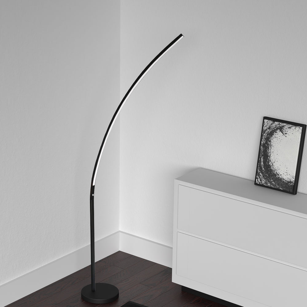 22W Floor Lamp Matte Black Finish