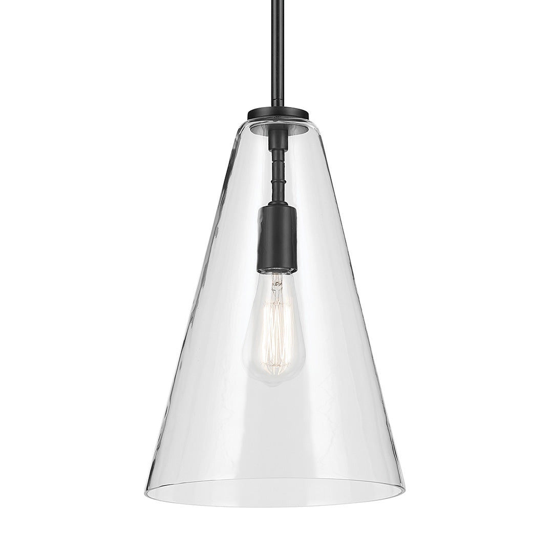 Everly 15.25" 1-Light Cone Pendant with Clear Glass in Black