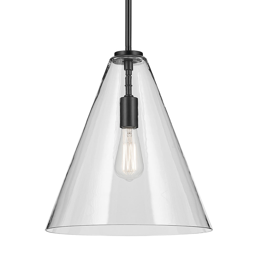 Everly 15.5" 1-Light Cone Pendant with Clear Glass in Black