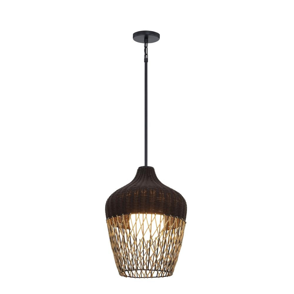 Hannha 1 Light Outdoor Pendant in Brown