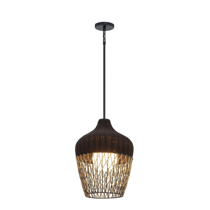Hannha 1 Light Outdoor Pendant in Brown