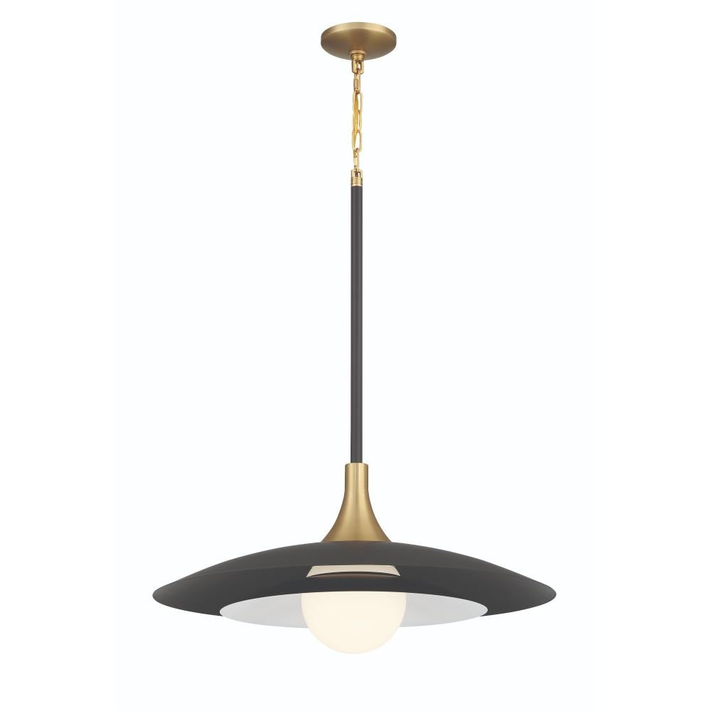Welsh 1 Light 24" LED Pendant in Black