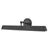 Large Adjustable Accent Light