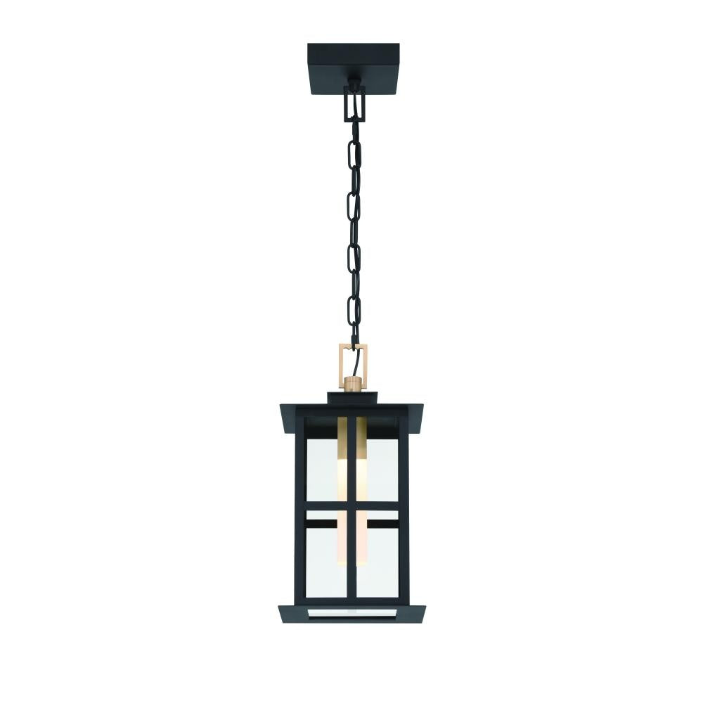 Greyson 16" LED Pendant In Brass and Black