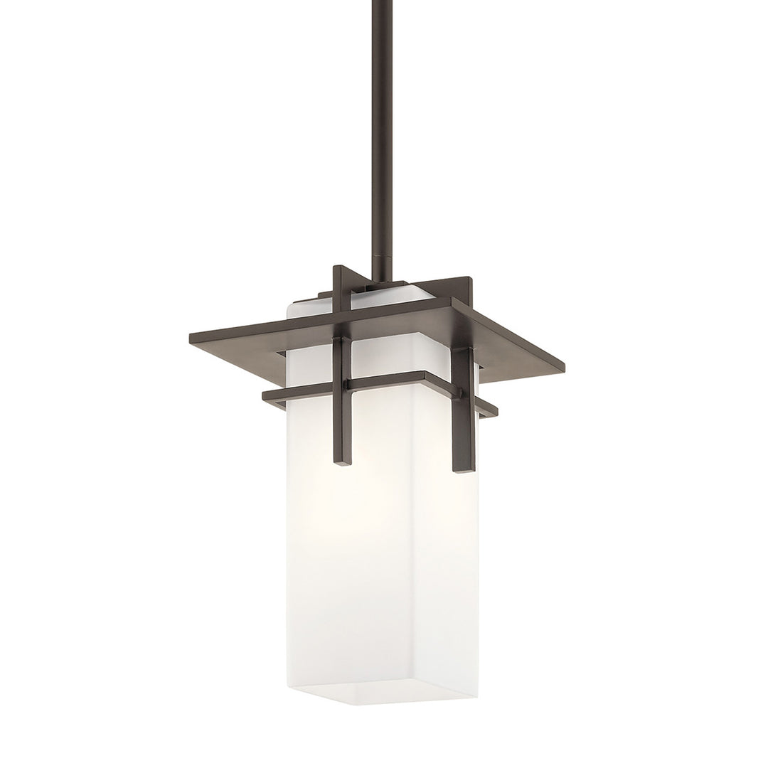 Outdoor Pendant 1Lt