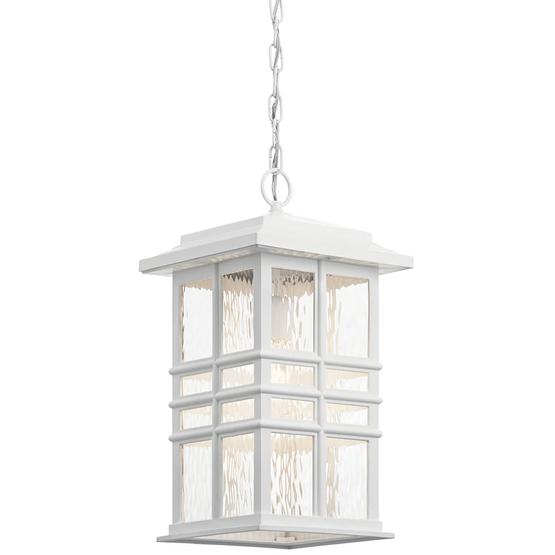 Outdoor Pendant 1Lt