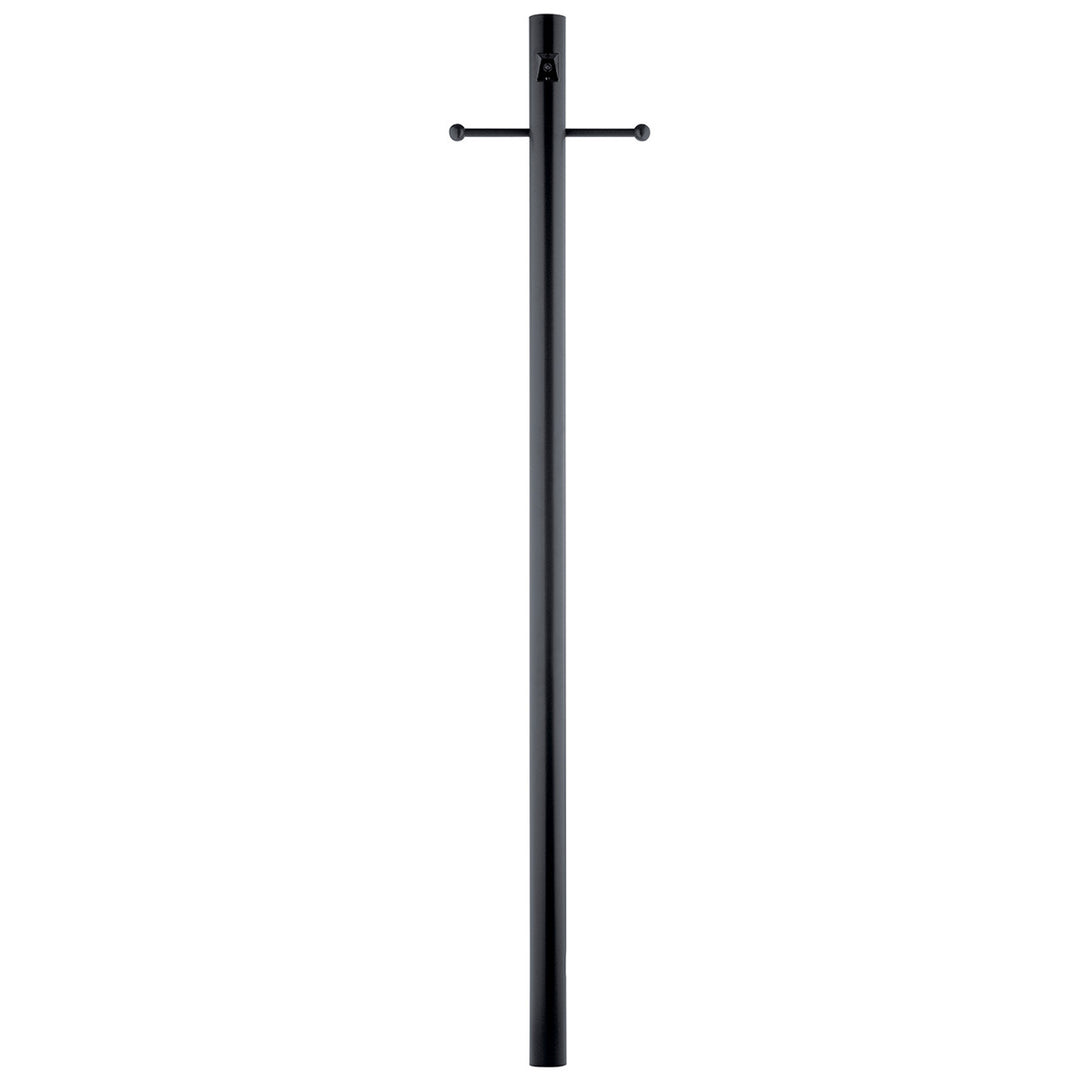 Post w/Ext Photocell & Ladder