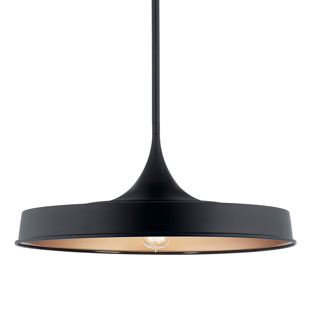 Pendant/Semi Flush 1Lt