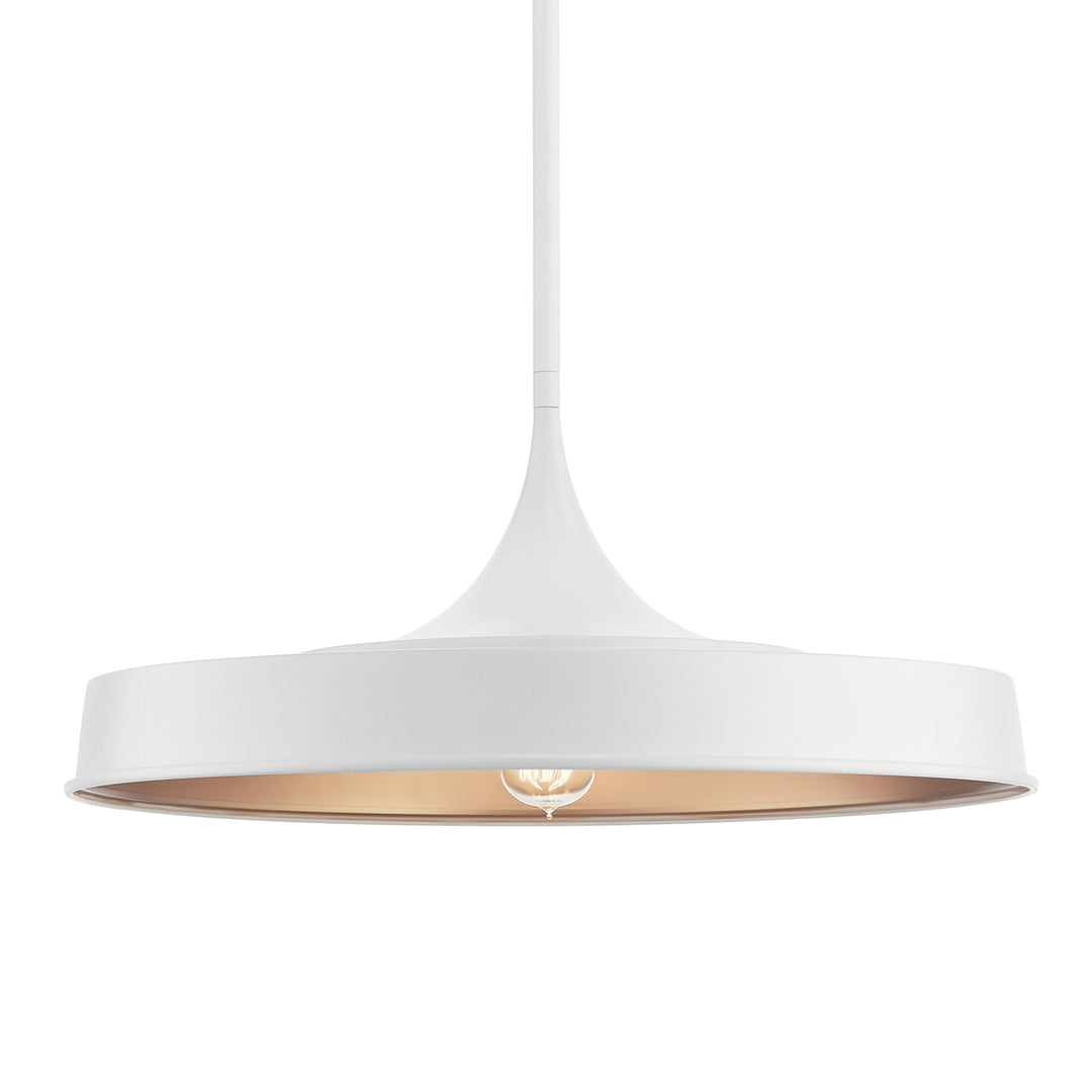 Pendant/Semi Flush 1Lt