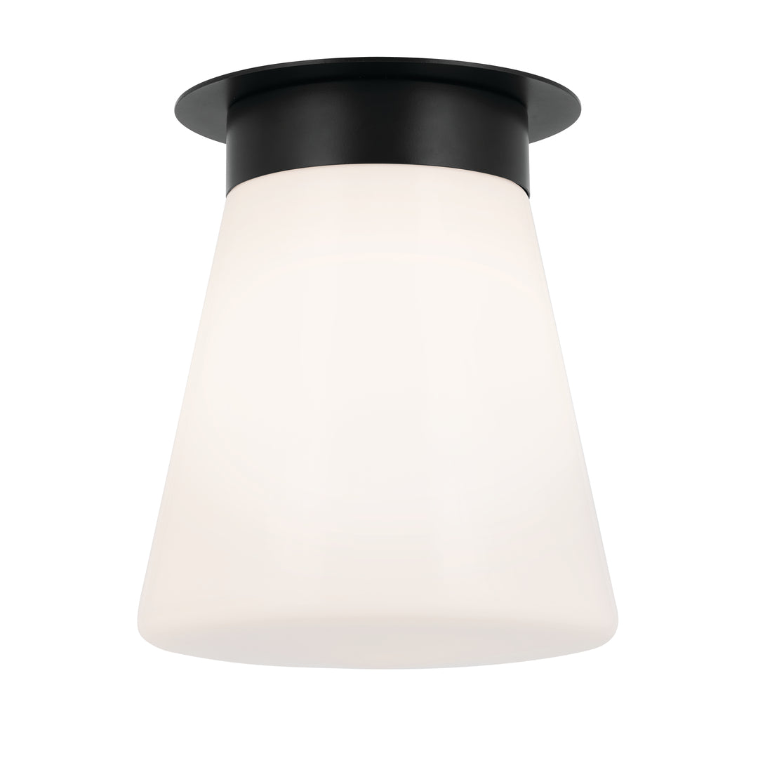 Flush Mount 1Lt