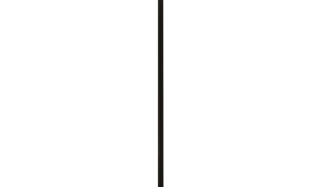 12" Accessory Stem