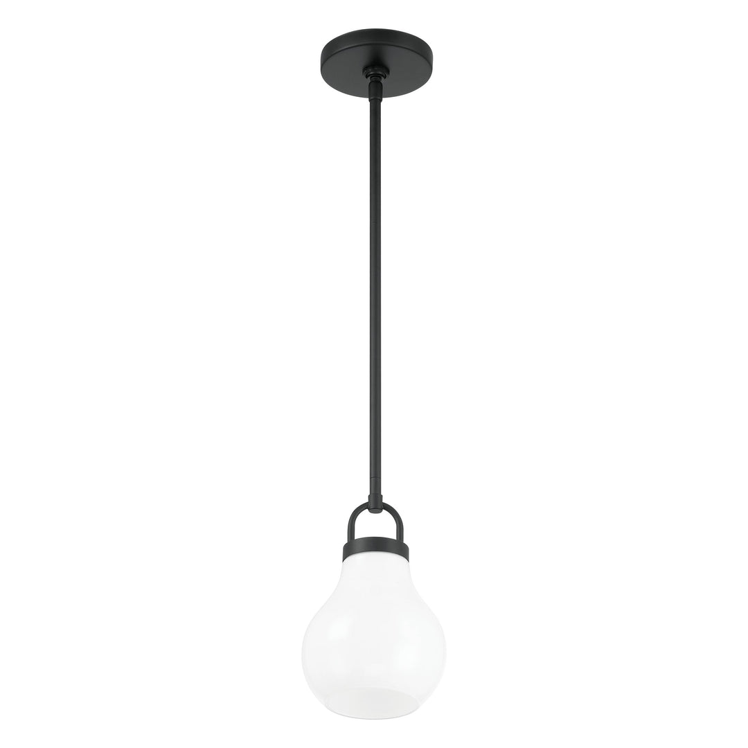 1L Pendant Light