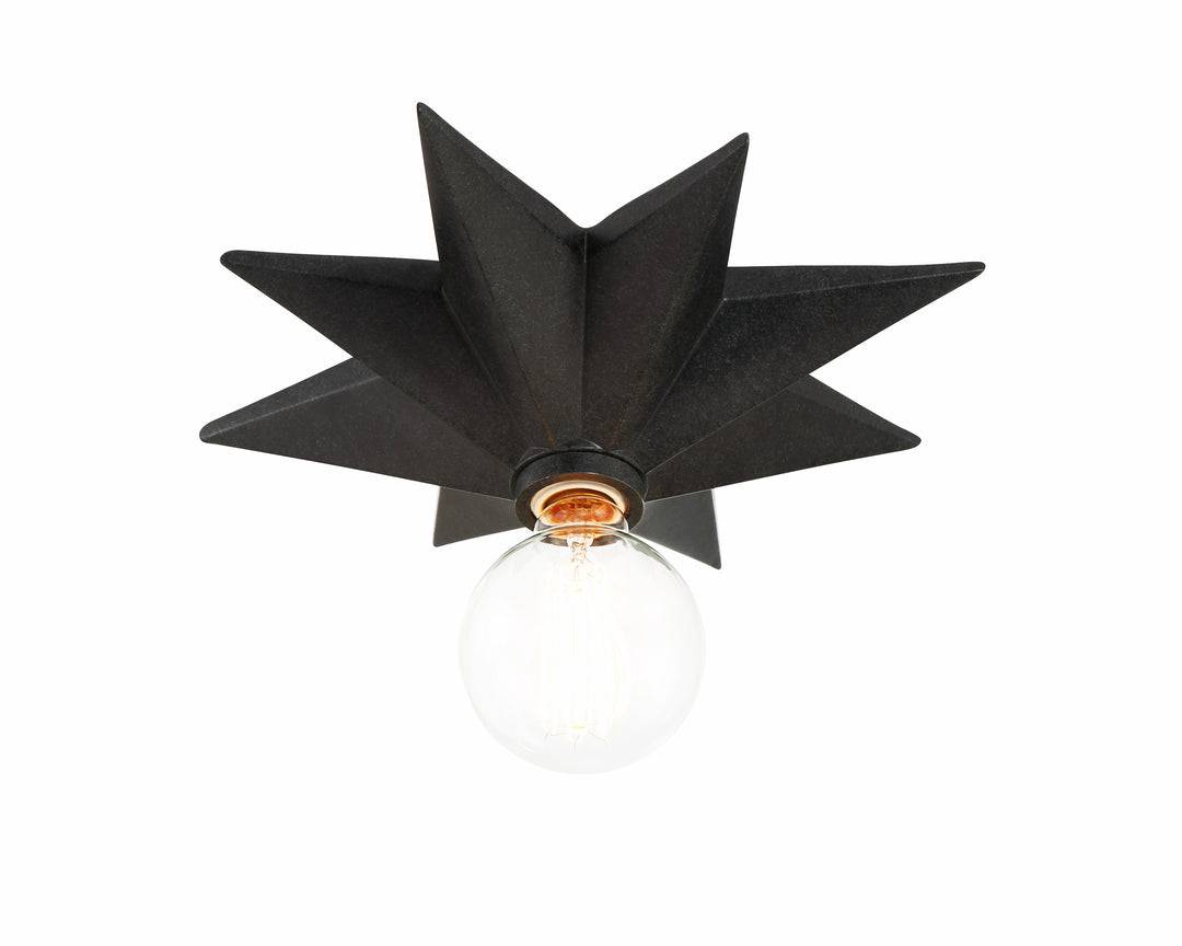 Astro 12'' Flush Mount