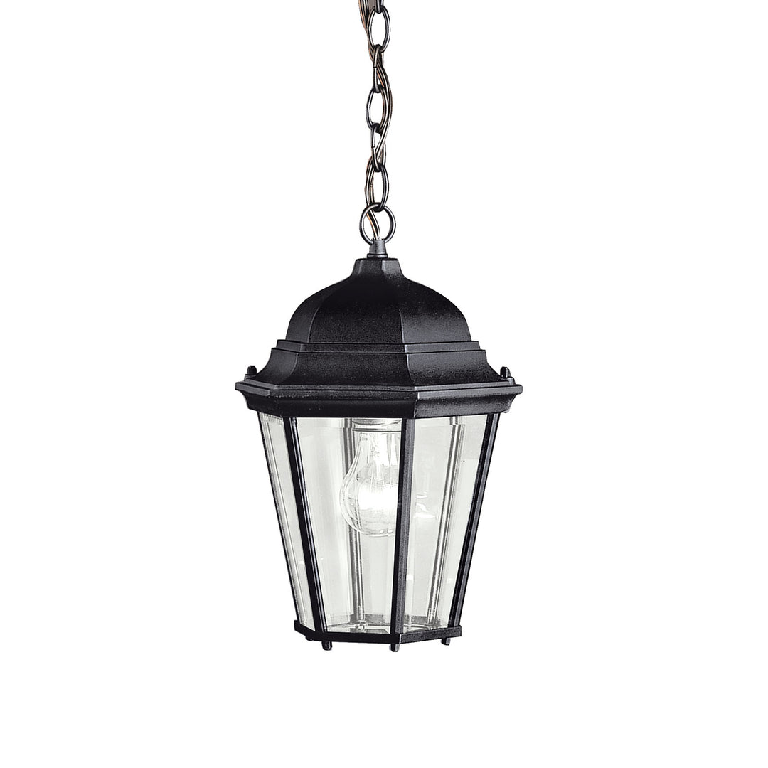 Outdoor Pendant 1Lt