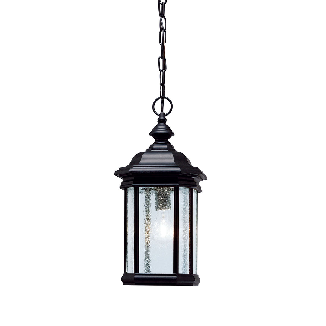 Outdoor Pendant 1Lt