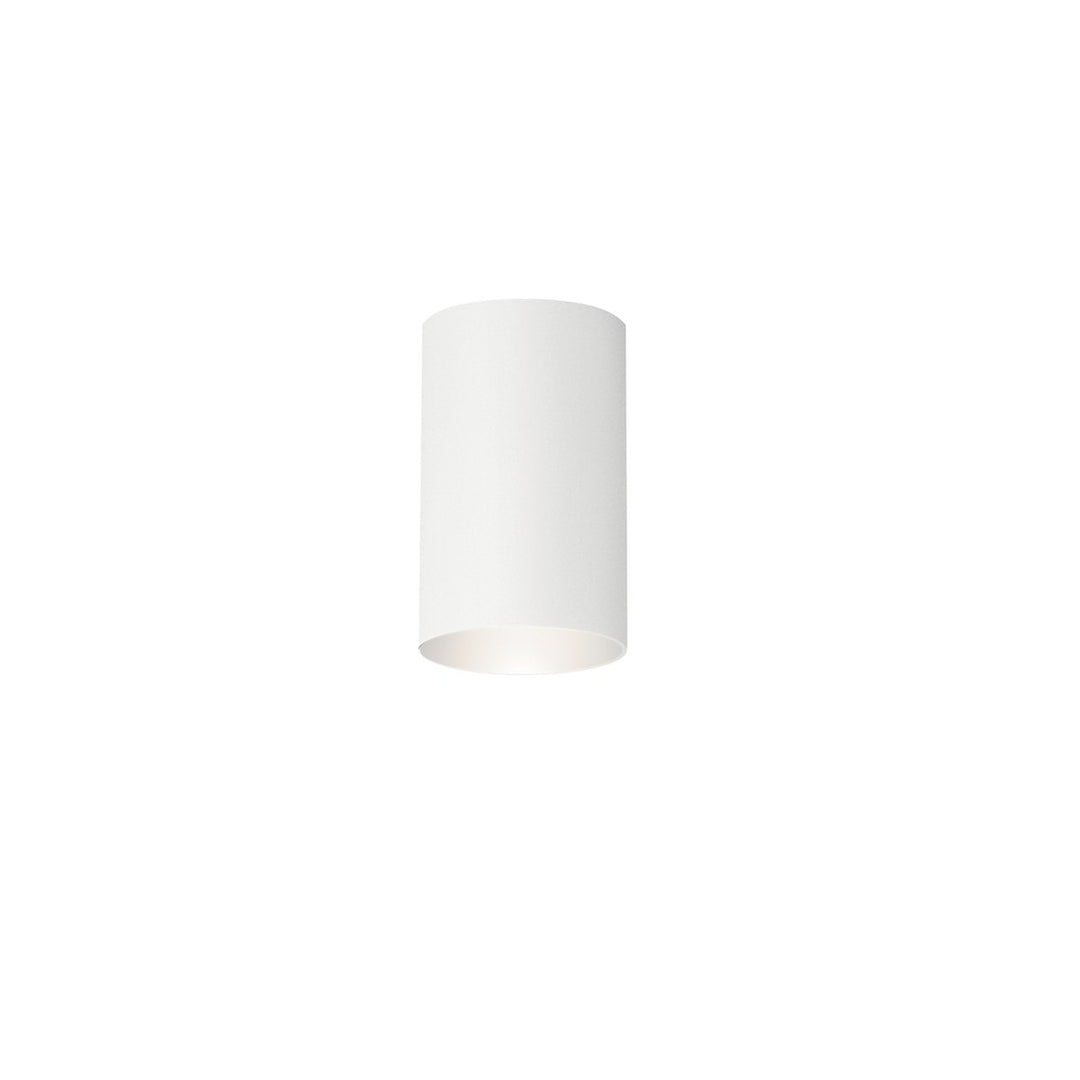 Indoor/Outdoor Ceiling 1Lt