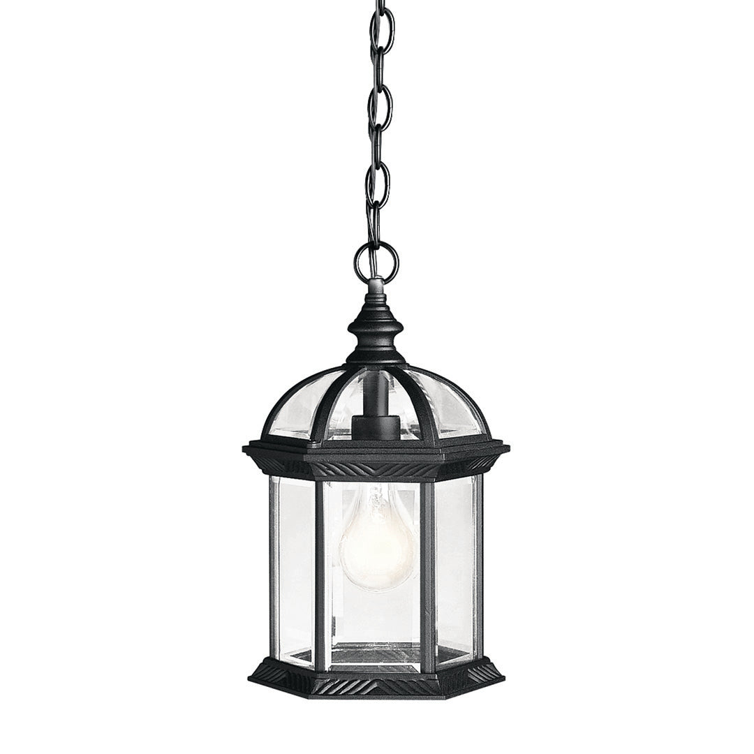 Outdoor Pendant 1Lt LED