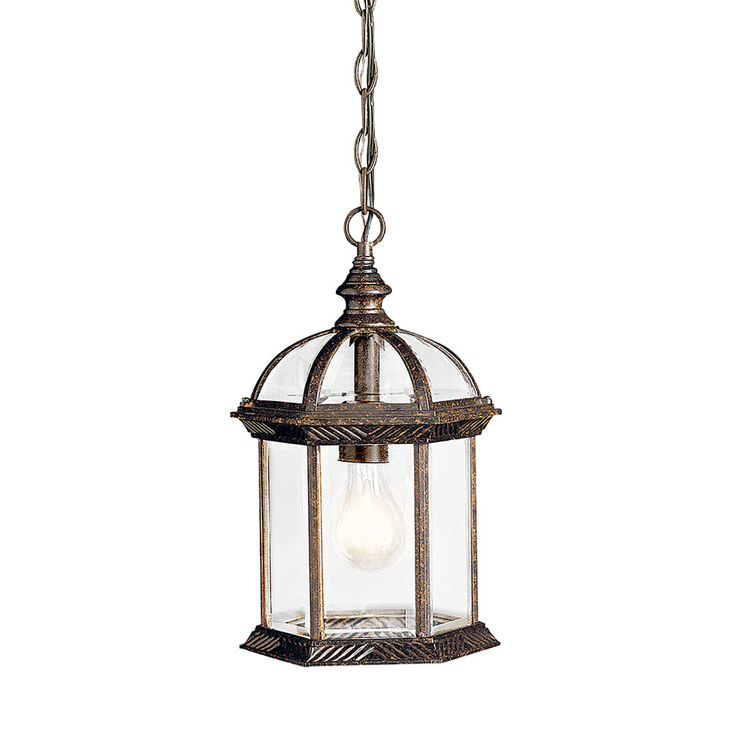 Outdoor Pendant 1Lt LED