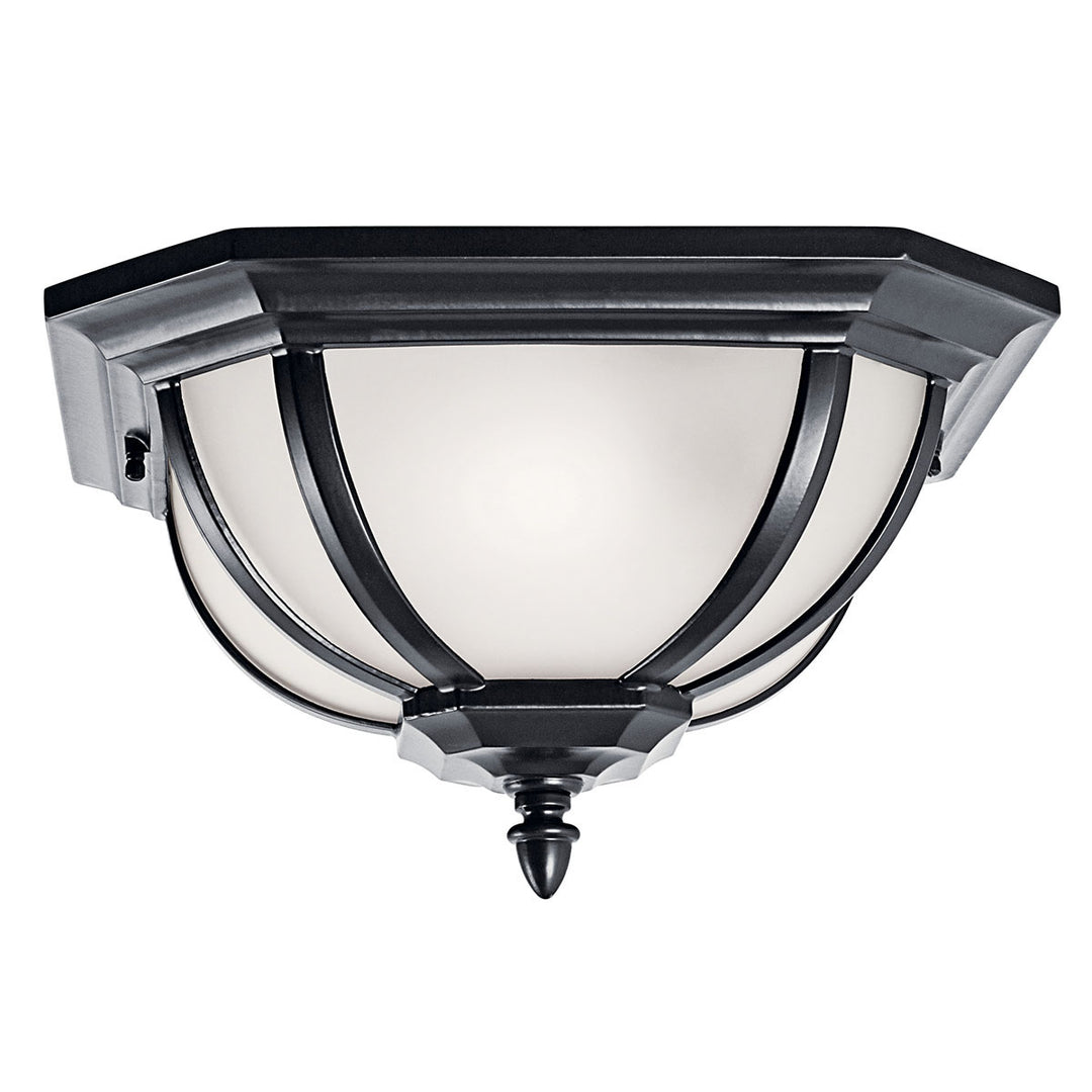 Outdoor Ceiling 2Lt