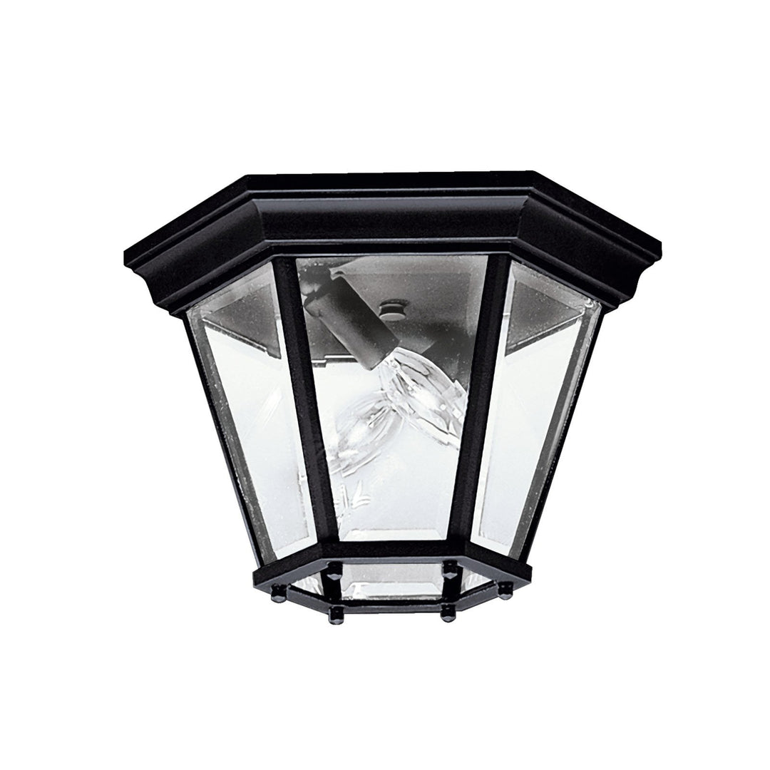 Outdoor Ceiling 2Lt