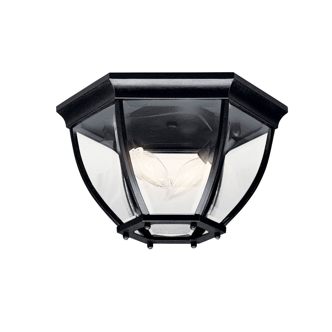 Outdoor Ceiling 2Lt