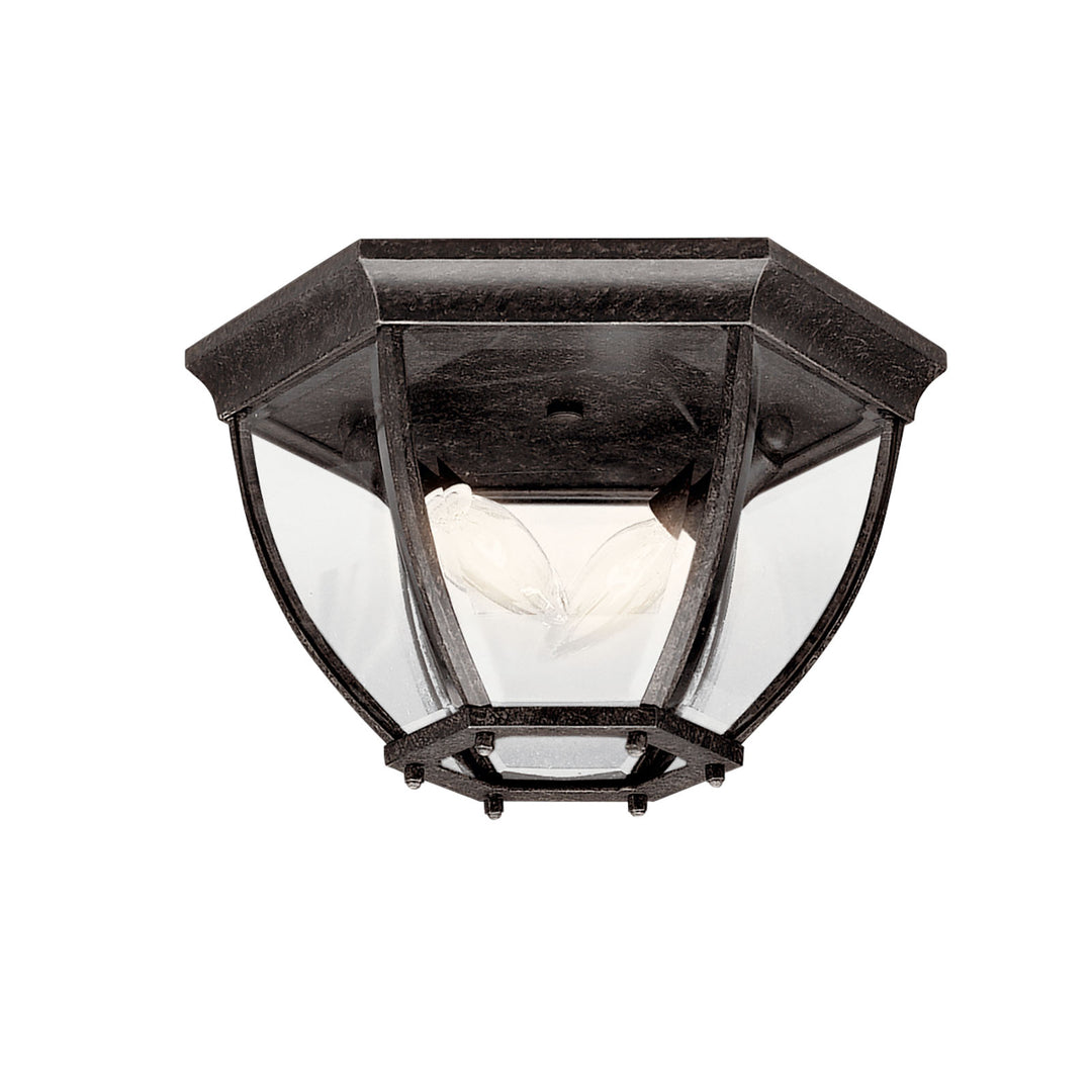 Outdoor Ceiling 2Lt