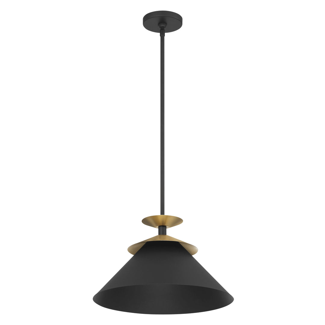 1L Pendant Light